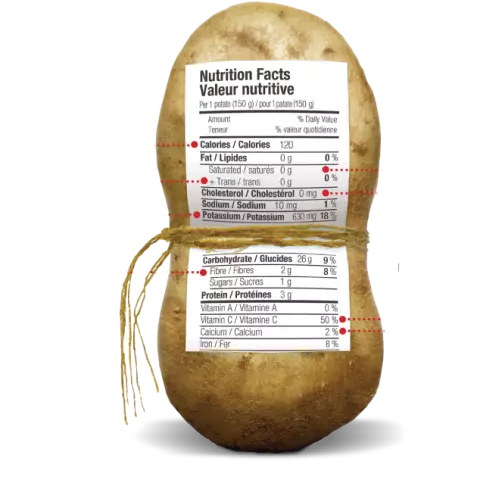 Calorie Content Of Potatoes, Its Useful And Nutritional Properties