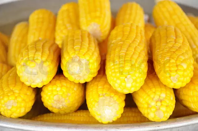 Calorie Content Of Corn - Boiled And Canned