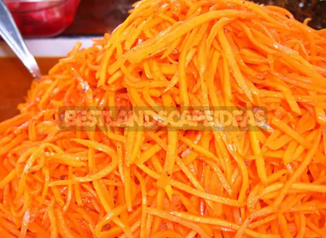 Energy Value, Useful Properties And Calorie Content Of Carrots