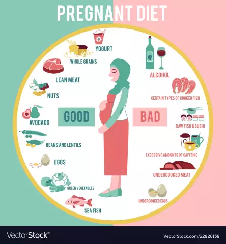 Diet For Pregnant Women - Recommendations, Menus For Trimesters