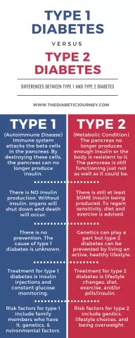 Diet For Type 1 And Type 2 Diabetes Mellitus - Menu, Principles