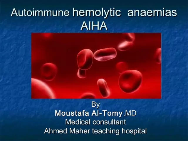 Autoimmune Hemolytic Anemia - Treatment, Pathogenesis