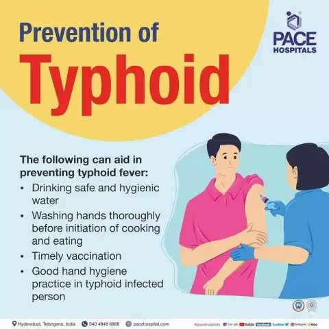 Typhoid Fever - Symptoms, Causative Agent, Treatment