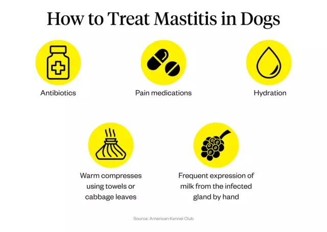 Mastitis - Treatment, Symptoms, Causes