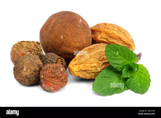 Azimina Three-bladed - Fruits, Medicinal Properties