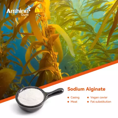 Sodium Alginate - Harm, Use, Properties