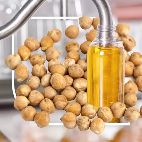 Soybean Oil - Composition, Useful Properties, Harm