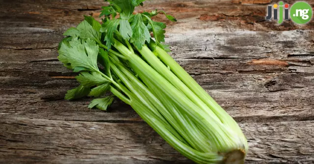 Celery Juice - Valuable Properties Of The Drink, Reviews, Benefits, Harm