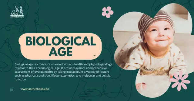 Determine The Biological Age Of A Person: 8 Parameters To Check