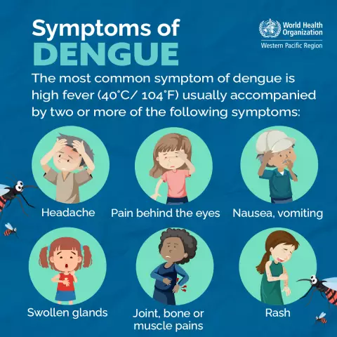 Cough In A Child Without Fever: Causes And Treatment