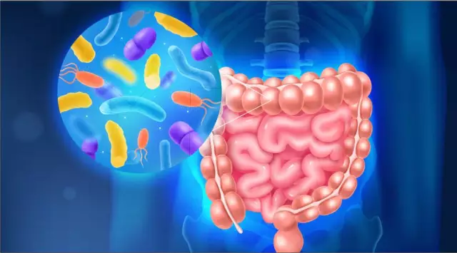 Metabiotics: A New Word In The Prevention Of Digestive Disorders