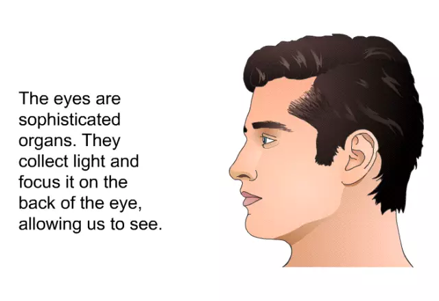 6 Indicative Eye Changes