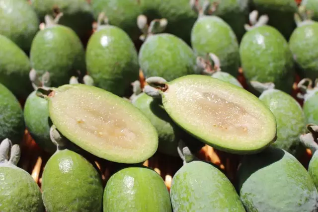 7 Health Benefits Of Feijoa