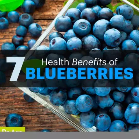 8 Health Benefits Of Blueberries