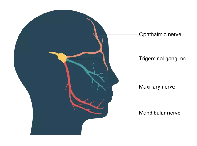 Cause Of Chest Pain: Neuralgia Or Heart?