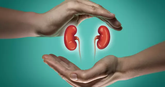 10 Signs Of Kidney Dysfunction