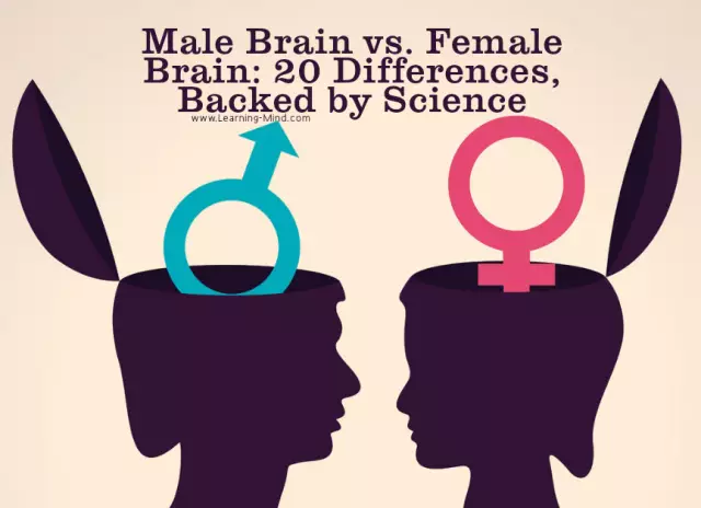 The Brain Of A Man And The Brain Of A Woman: 5 Differences