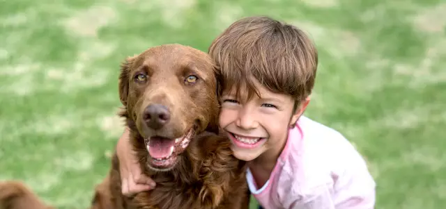 Children And Pets: We Comply With Safety Rules