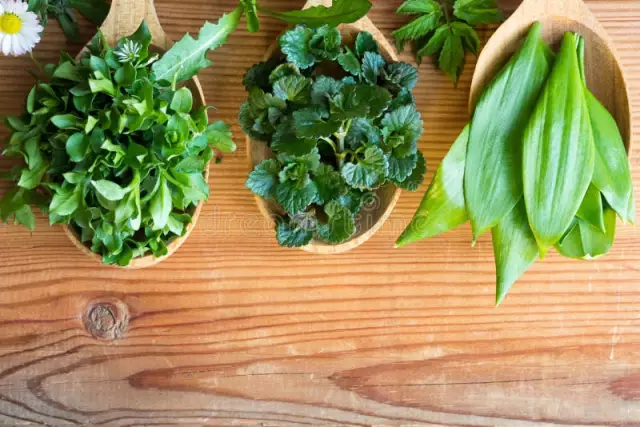 8 Edible Spring Herbs