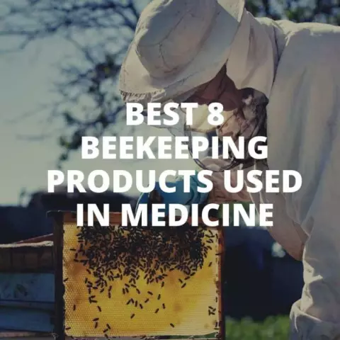 8 Beekeeping Products Used In Medicine