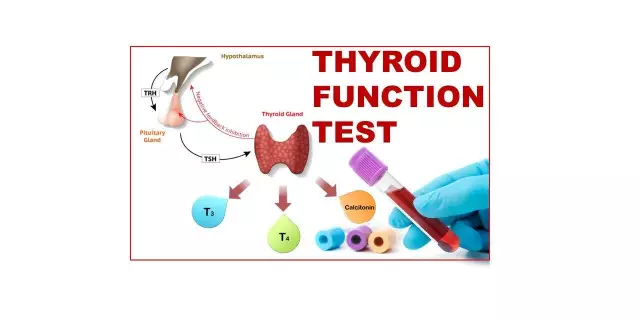 15 Plants To Help Normalize Thyroid Function