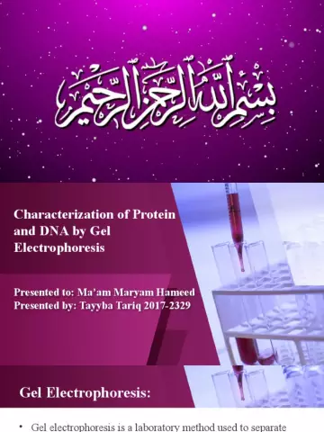 Electrophoresis For Adults And Children