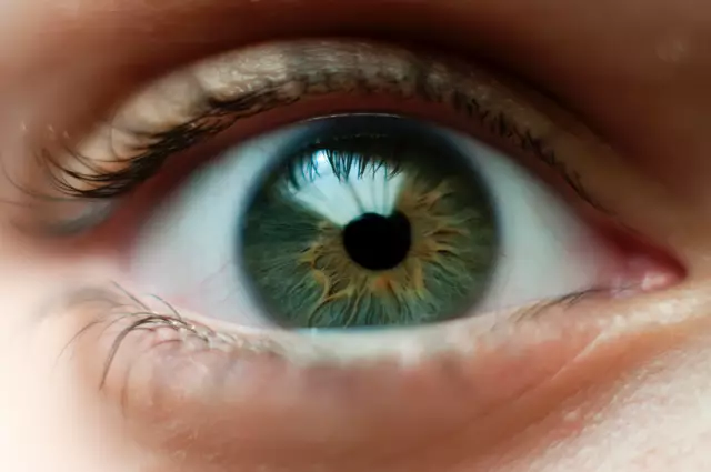 10 Interesting Facts About Eyes And Vision