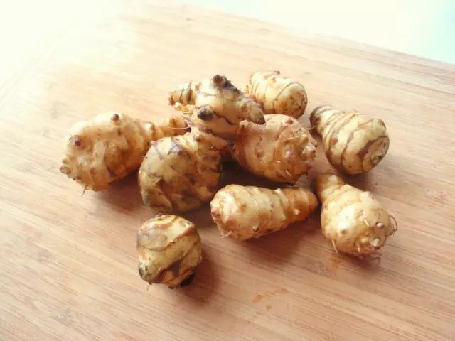 Jerusalem Artichoke: 9 Useful Properties