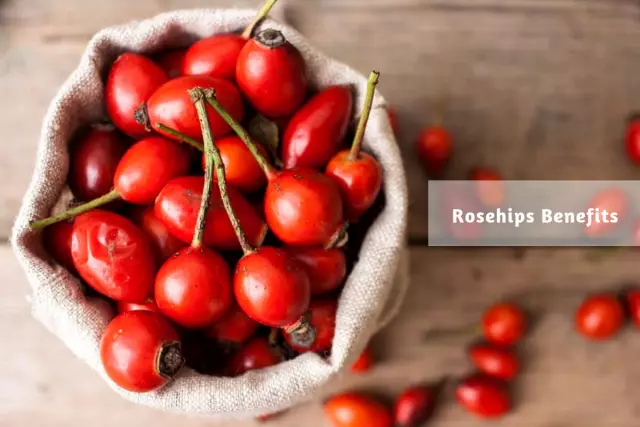 We Are Treated With Rose Hips: 7 Remedies And Their Application