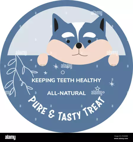 Keeping Teeth Healthy: Treat Or Prevent?