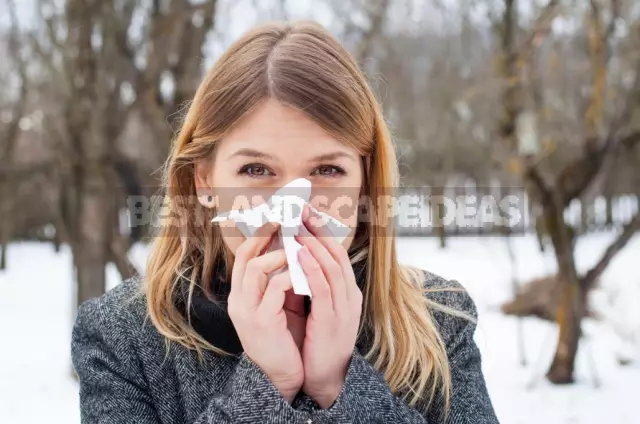 How To Treat ARVI: Effective Remedies For The Prevention And Treatment Of Colds