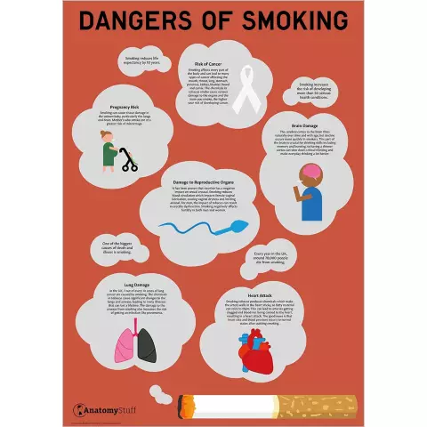 About The Dangers Of Smoking Electronic Cigarettes