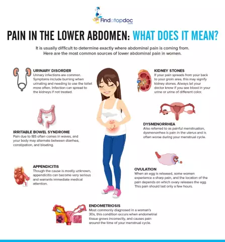 Causes Of Pain In The Lower Abdomen