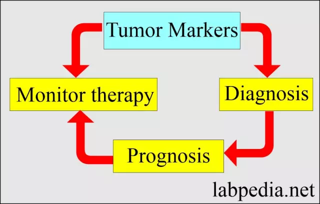 Tumor Markers: Decoding