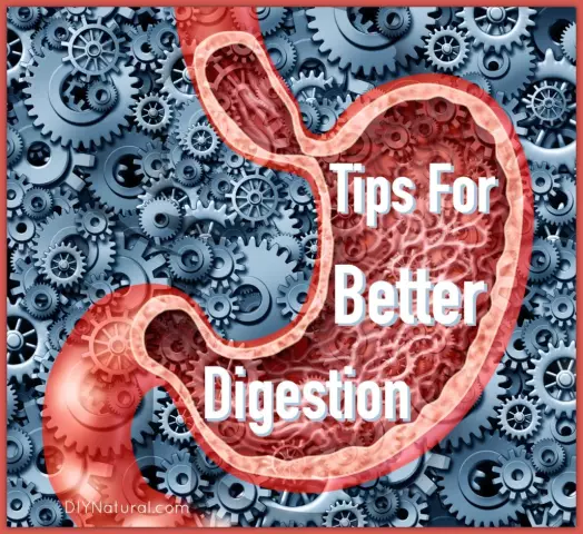 Digestive Problems - Intestinal Spasm