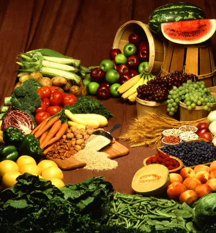 Vegetable Proteins In Our Diet