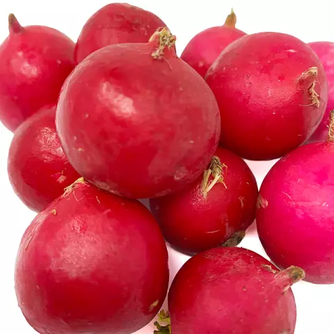 Useful Properties Of Radish