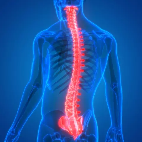 Back Pain - Causes, Diagnostic Methods, Treatment