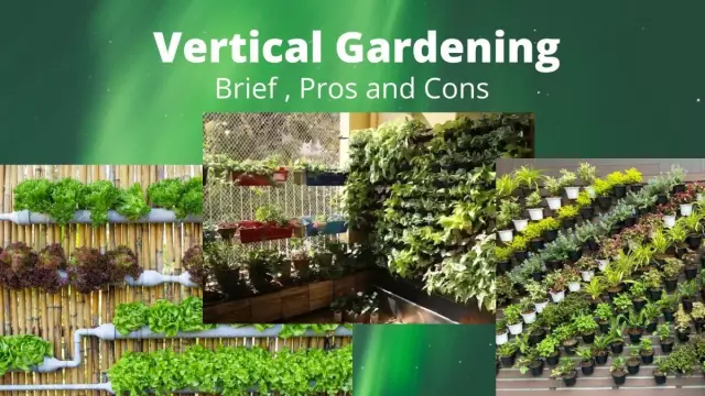 Vertical Labor - Pros And Cons