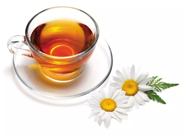 Useful Properties Of Chamomile