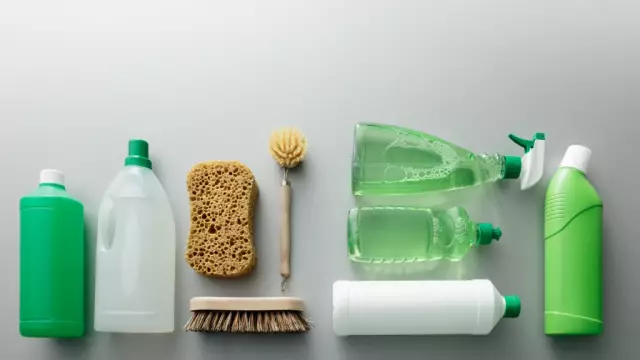 Eco-cleaning Will Help Preserve Health