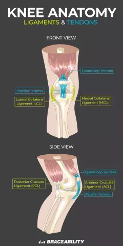 What Causes The Pain Under The Knee