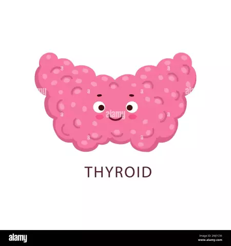 Healthy Thyroid Gland - Cheerful Mood Plus Beauty