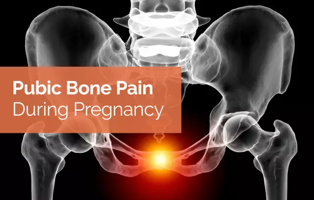 Pubic Bone In Women And Men - Structure, Pain