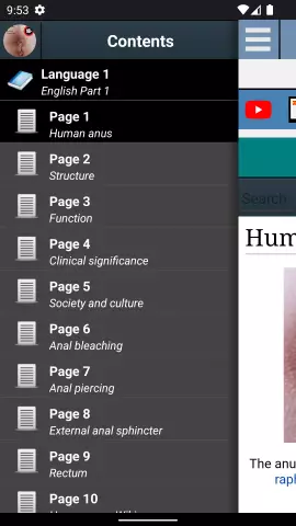 Anus - Anatomy, Research, Itching, Pain