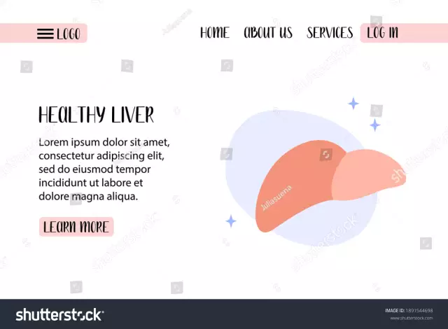 Hepatology - Diagnosis And Treatment Of Diseases