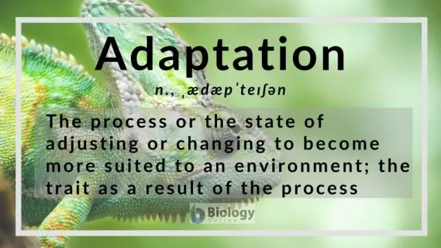 Adaptation - Dictionary Of Medical Terms