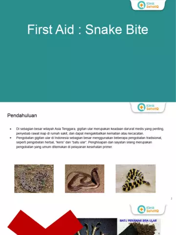 First Aid For A Snake Bite