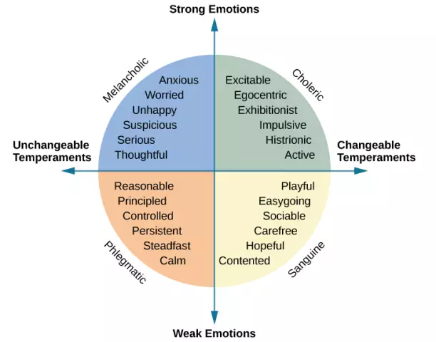 Temperament And Character: Types, Relationship And Main Differences