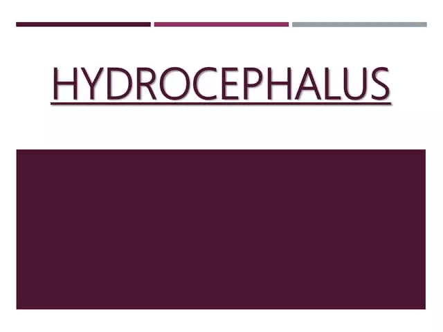 Hydrocephalus - Glossary Of Medical Terms